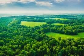 Latest Stories Image